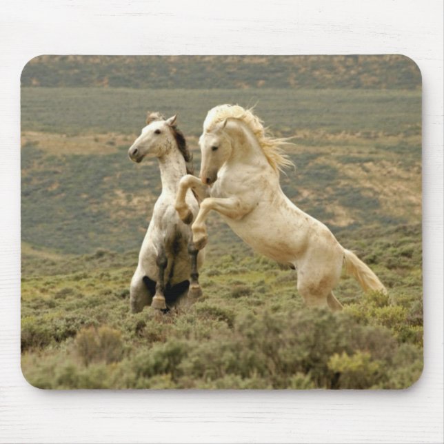 Two Wild Stallions Fight Mouse Pad (Front)