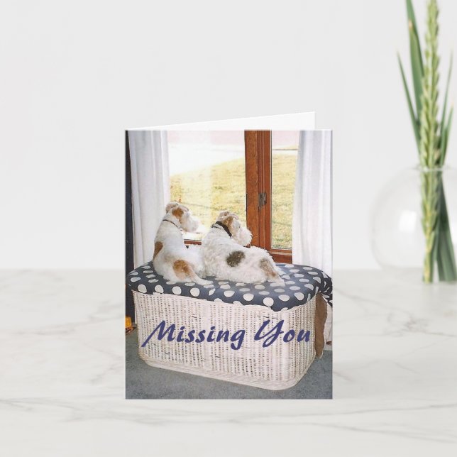 Two Wire Fox Terriers In The Window Card (Front)