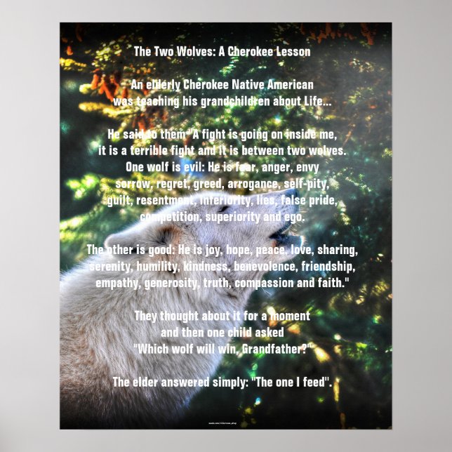 TWO WOLVES CHEROKEE TALE Art Poster (Front)