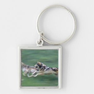 Two wolves in mountain meadow keychain