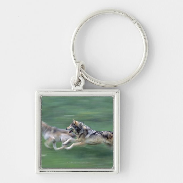 Two wolves in mountain meadow keychain (Front)