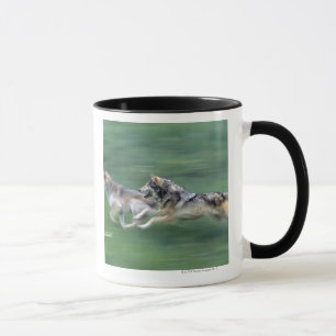 Two wolves in mountain meadow mug