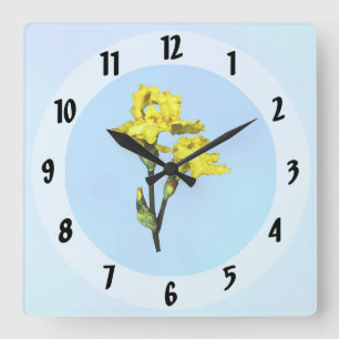 Two Yellow Irises and Buds Square Wall Clock