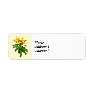 Two Yellow Lady Slipper Orchids Save the Date