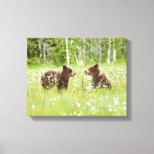 Two young brown bear friends canvas print