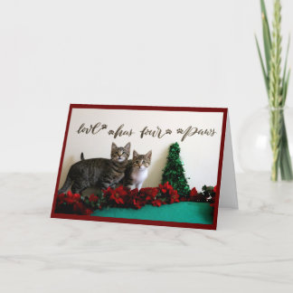 Two Young Kittens with Christmas Decor Holiday Card