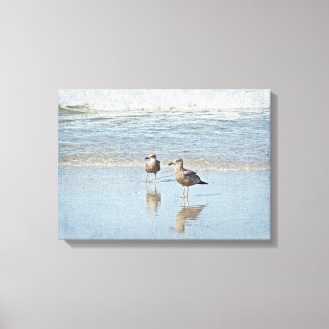 Two Young Seagulls Enjoying Sun and Surf Canvas Print (Front)