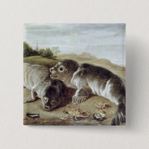Two Young Seals on the Shore, c.1650 2 Inch Square Button