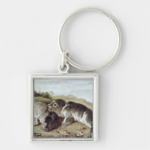 Two Young Seals on the Shore, c.1650 Keychain
