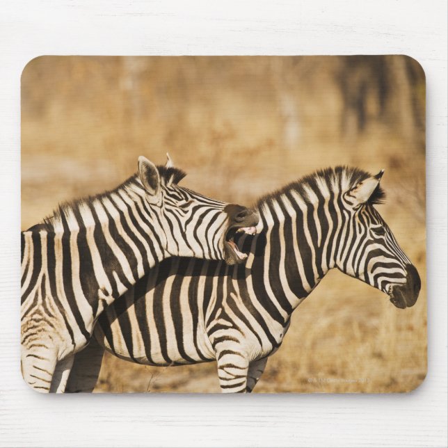 Two zebras standing in grass mouse pad (Front)