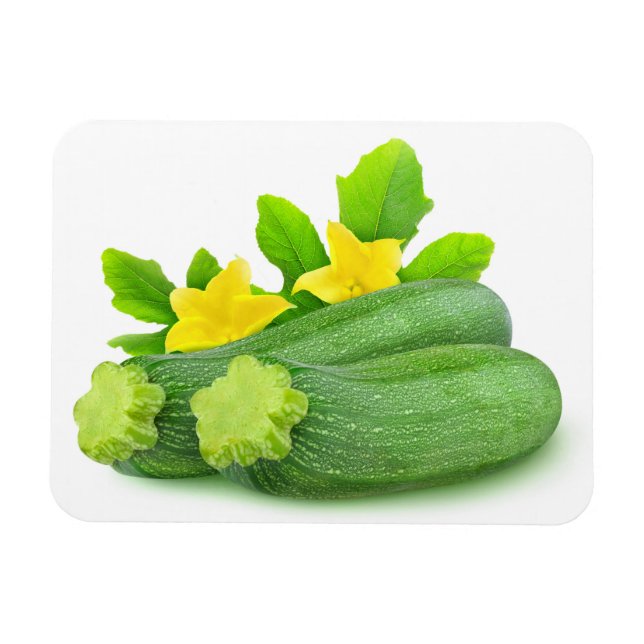 Two zucchini magnet (Horizontal)