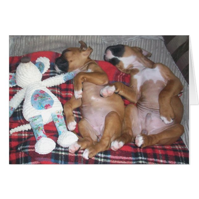 'Two's Company and Three's Even Better' (Front Horizontal)