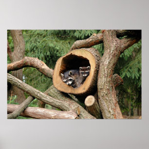 Two's Company Poster