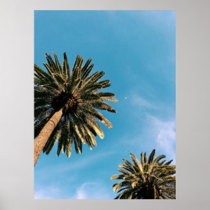 Twp palm trees under blue sky at daytime poster