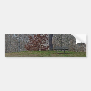 Twsited Tree Bumper Sticker