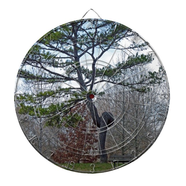 Twsited Tree Dartboard (Front)