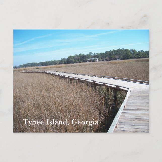 Tybee Island Georgia GA Postcard Photograph (Front)