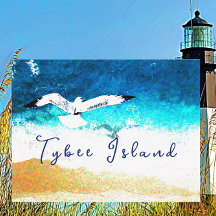 Tybee Island Georgia Seagull Soaring over Beach