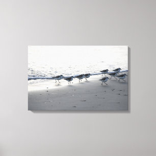 Tybee Island - Running of the Peeps 5 Canvas Print