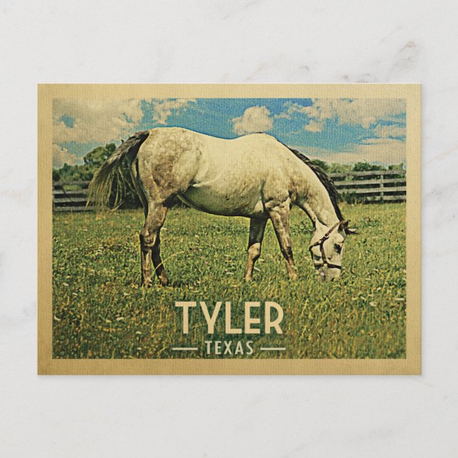 Tyler Texas Horse Farm - Vintage Travel Postcard (Front)