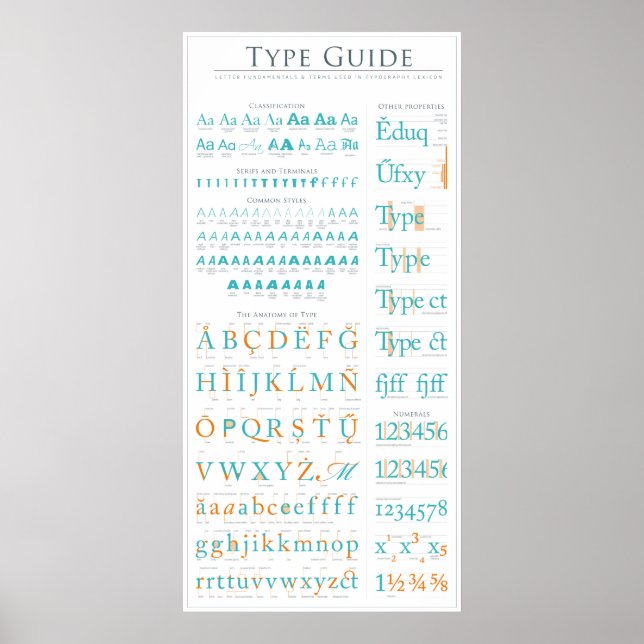 Type Anatomy Guide Poster (Front)