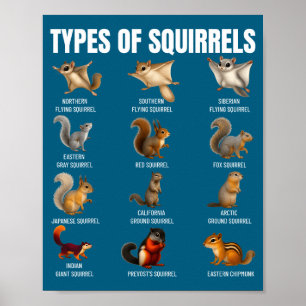 Types de écureuils Tableau d'identification Espèce