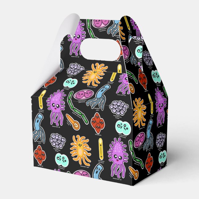 Types Of Bacteria Favor Box (Front Side)