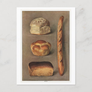 Types of Bread Illustration Vintage Postcard