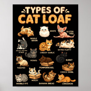 Types of Cat Loaf Cute for Kids Boys Girls Teen Poster