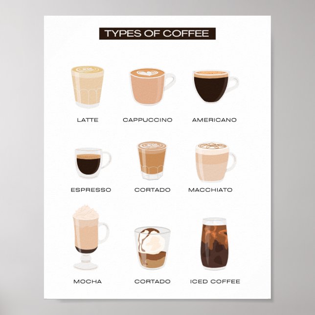 Types of Coffee School Education Learning Poster (Front)