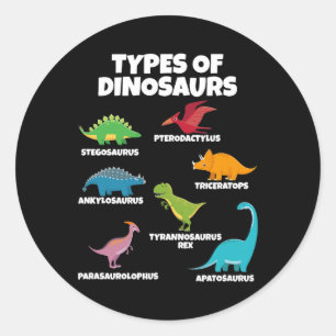 Types Of Dinosaurs Dinosaur Lover for Kids Classic Round Sticker
