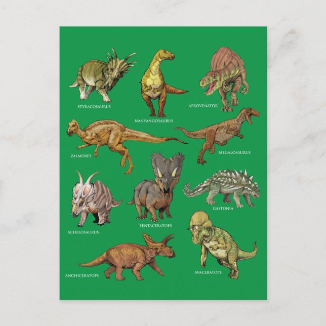 Types of Dinosaurs Illustrations Postcard (Front)
