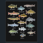 Types Of Freshwater Fish Species Fishing Letterhead<br><div class="desc">Types Of Freshwater Fish Species Fishing</div>