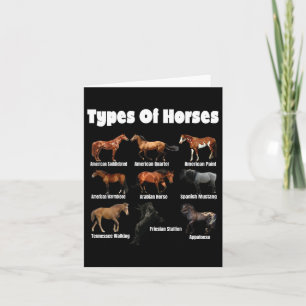 Types Of Horses Retro Horses Breeds Vintage Card