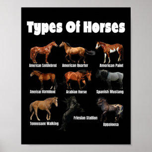 Types Of Horses Retro Horses Breeds Vintage  Poster