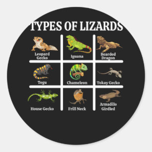 Types of Lizards Lizard Reptiles Classic Round Sticker