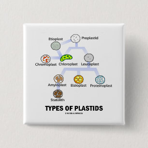 Types Of Plastids 2 Inch Square Button