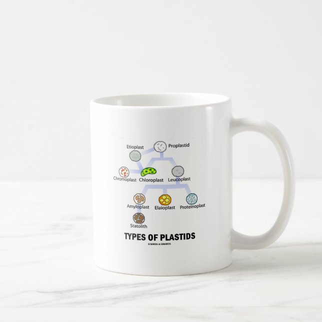 Types Of Plastids Coffee Mug (Right)