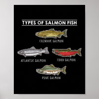 Types Of Salmon Fish For Salmon Fishing