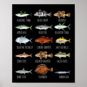 Types Of Saltwater Fish Species Biology Fishing Lo Poster