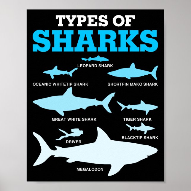 Types Of Sharks Educational Academic Ocean Poster (Front)