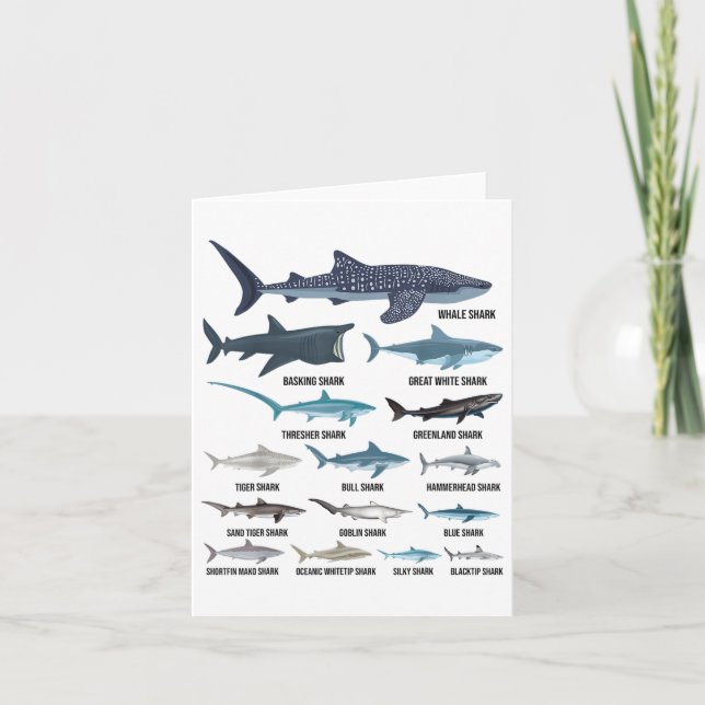 Types Of Sharks Shark Species Identification Ocean Card (Front)