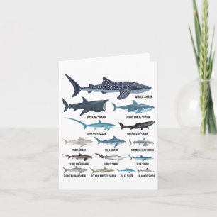 Types Of Sharks Shark Species Identification Ocean Card