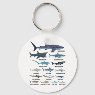 Types Of Sharks Shark Species Identification Ocean Keychain