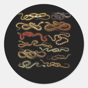Types Of Snakes Herpetologist Educational Reptiles Classic Round Sticker
