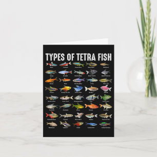Types Of Tetra Fish - Tetras Aquarium Fish Species Card