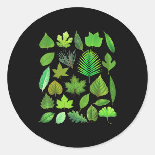 Types Of Tree Leaves Biology Nature Educational  Classic Round Sticker