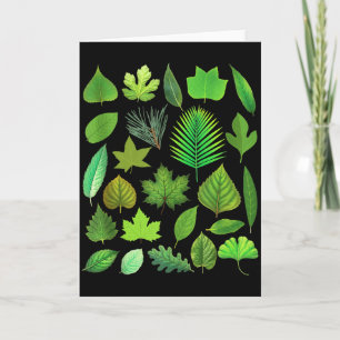 Types Of Tree Leaves Biology Nature Educational Ta Card