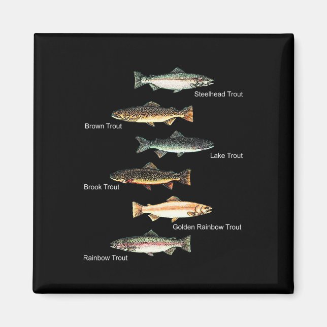 Types Of Trout Fish Species Collection Fishing  Magnet (Front)