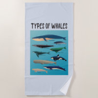 Types Of Whales Ocean Mammal Variety